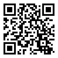 SEO优化排名服务公司网站模板 自适应手机端