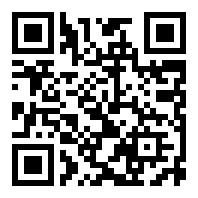 SEO快排网站模板 大气的IT网络软件公司网站源码